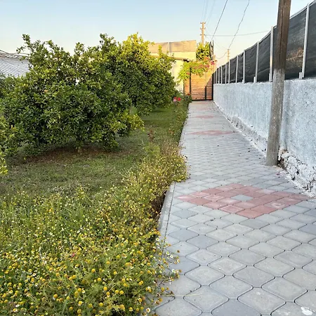 Ata Villa *
